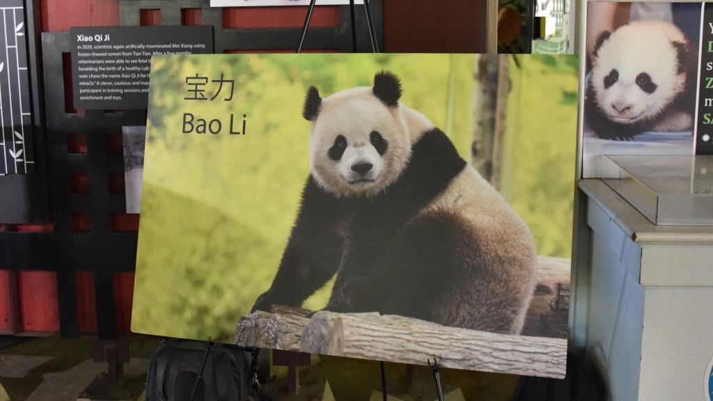 Panda on a sign.