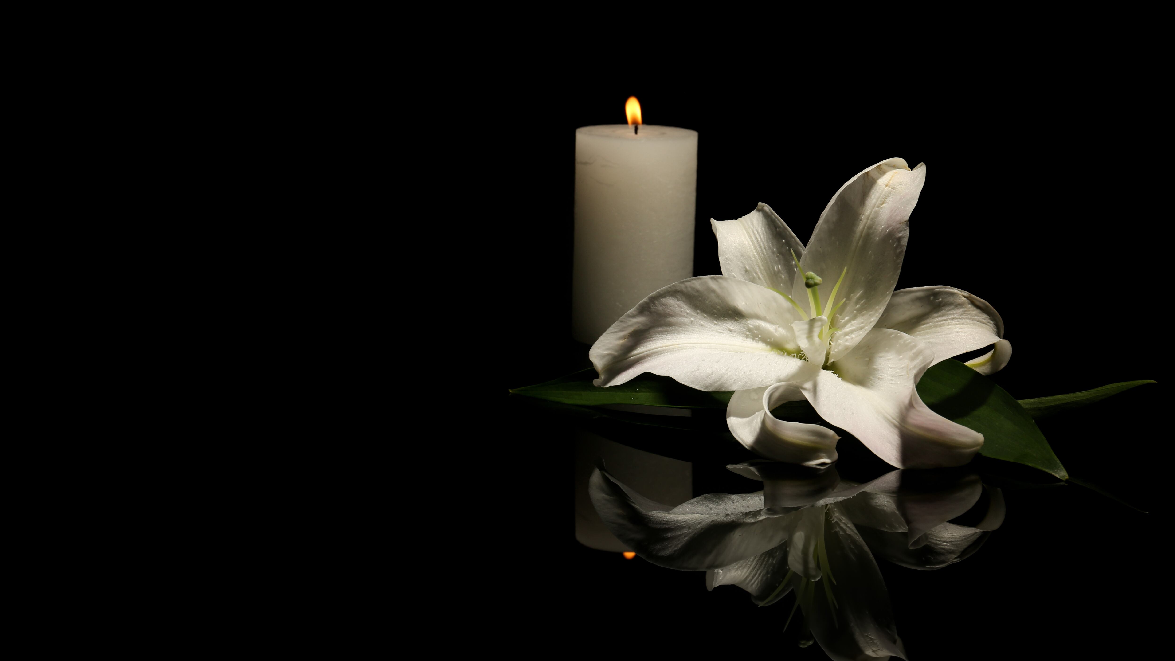 Beautiful lily and burning candle on dark background